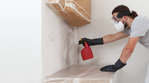 Professional Mold Inspection And Testing technician working in Fort Lee, VA