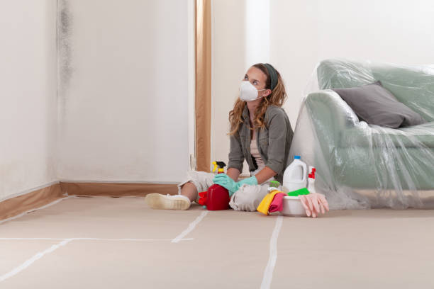Reliable Mold Inspection And Testing contractor in Fort Lee, VA by Car Mold Remediation